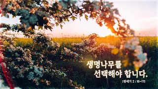 [SEED] 내인삼 ㅣ우리 마음의 그릇이 풍~~~~~성해지는 방법~! 지금부터 알려드릴께요~^^