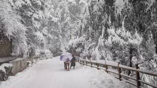 Shimla Winter ❄️ 🥶