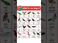 sanskrit me panchiyon birds ke naam currentaffair hadappasabhyat like likeforlikes