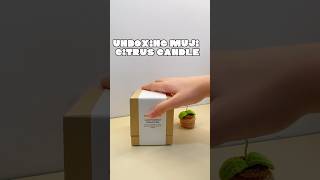 Unboxing muji citrus candle 🍊// SamVloggie #trending #trendingshorts #chill #unboxing #asmr #candle