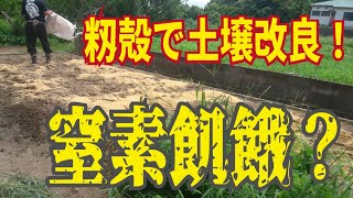 窒素飢餓って何？畑にもみ殻入れると窒素飢餓になる？ほんとにそうなの？【籾殻で土壌改良】