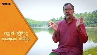 අලුත් අවුරුදු නැකැත් සීට්ටුව : සිව්වන දිගහැරුම - අවුරුදු උදාව