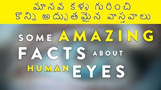 Amazing Facts Of Eyes l మానవ కళ్ళ యొక్క అద్భుతమైన వాస్తవాలు l Telugu Prime l Ep-1