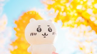 CHIIKAWA TOUR IN TOKYO / ちいかわ旅