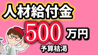 予算終了間近・人材給付金１人５００万円・２００万円・地域企業経営人材確保支援事業給付金・REVICareer（レビキャリ）・副業・兼業人材支援制度【中小企業診断士 マキノヤ先生】第1955回