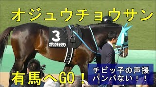 南武特別　オジュウチョウサン　勝って有馬記念へ！！