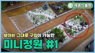 미니정원 쇼룸 공개! 세종식물원 미니정원을 우리집 마당에 그대로? 위미가든 작가님과 함께한 첫번째 미니정원 입니다. / 세종식물원