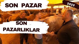 Son Pazarlıklar | 2023 Kurbanlık Fiyatları