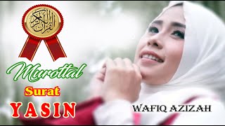 SURAH YASIN PALING MERDU DAN BIKIN MERINDING || Wafiq Azizah