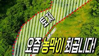 저렴한 가격으로 나만의 놀이터를 만들어보세요! 건축이 가능한 토지매물, 태양광 부지로도 사용이 가능합니다! 충청북도 충주시 살미면 (협동부동산) 땅보스TV