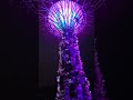 SUPERTREE GROVE OBSERVATORY LIGHT SHOW IN SINGAPORE #shorts