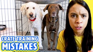 10 Crate Training Mistakes 🐶 Dog Barking in Crate? Watch this!