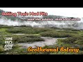 Geothermal Botany of New Zealand