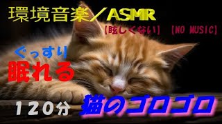 【環境音☆ASMR】【睡眠用】猫のゴロゴロ音の心地よい音でくつろぎの120分　つられて寝ちゃおう　ぐっすり眠れる　#猫のゴロゴロ音 #癒し #自然音 #ASMRぐっすり眠れる #メンタルヘルス