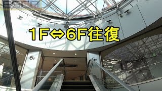 Sunshine Sakae Escalator 1F-6F Round trip Hitachi Nagoya Japan