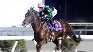 黒潮スプリンターズカップ　 ダ1300m (右) 　ヘルシャフト　牡7　57.0　吉原寛人　2024.1.28　　出走馬：モダスオペランディ、ヒメツルイチモンジ、レベルスリー、ヒカリオーソ他