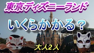 【検証】ディズニーランドで大人2人が普通に遊ぶといくらかかるのか?