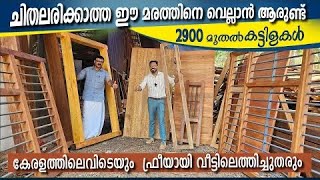 2900 മുതൽ വതിൽ ക്കട്ടിലകൾ   60 cft പർച്ചീസ് ചെയ്താൽ കേരളത്തിൽ  Free delivery |Kalliyath Timbers|