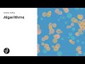 Creative Coding (07): Algorithms