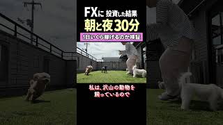 トレード結果公開！FXで朝と夜の隙間時間いくら稼げるか検証したよ🐶｜投資主婦 スキャルピング デイトレ スイング