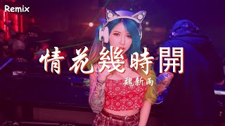 魏新雨 - 情花幾時開 - [慢搖DJ舞曲] - 2023年最勁爆的DJ歌曲  - [Chinese Dj Remix 2023]