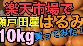 広島瀬戸田産はるみ楽天市場で10キロ箱買いレビュー！