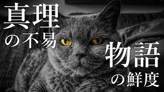 真理の不易、物語の鮮度　ダンマパダ116偈と『真理のことばの物語集』｜ゆるねこ仏教オンライン講座⑦（16 Nov 2021）