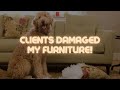 Client Damaged My Furniture! What Now? Foxy TV Episode 155