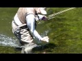 Kootenai River Outfitters Montana - Dry Fly Action on Private Access Water