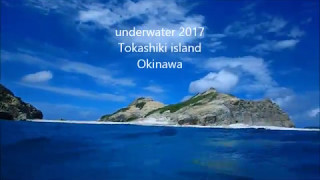 沖縄ダイビング2017＠渡嘉敷島 No.17 ハナリ