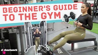 Beginner's Guide To The Gym - No Sweat: EP8