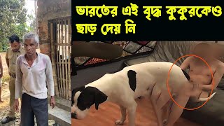 ভারতের হিন্দু এটা কি করলো ? | কুকুর কে টানা ১৫ দিন ধর্ষণ - Latest News