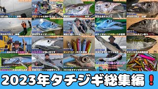 [総集編]もう一度見たい‼︎ 東京湾太刀魚ジギング釣行動画ランキングTop5