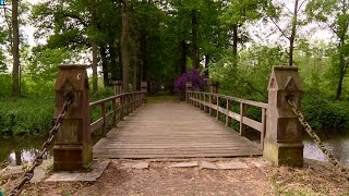 Oprijlaan Kasteel Heeswijk moet weer worden als in 1850