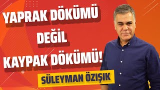 AK PARTİ'DE KAYPAK DÖKÜMÜ (Süleyman Özışık - Gazeteoku - Sesli Makale)
