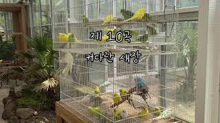 생상스 - 동물의 사육제 '제10곡 커다란 새장'