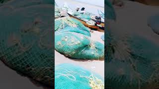 #bheemili#fish boats#fishnets #beach @mavoorilomeru24, 2023