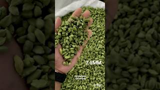 7.5mm fancy green #cardamom #spices #kerala #mumbai #india #chennai #bangalore #kolkata #shorts