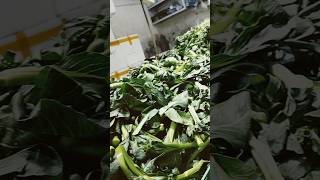 2 kg choy Sam $13 guys #yearsofyou