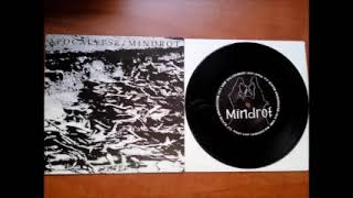 Mindrot / Apocalypse - Apocalypse / Mindrot (Full Split)