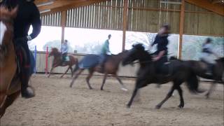 Cours de dressage Galop 5 / 6