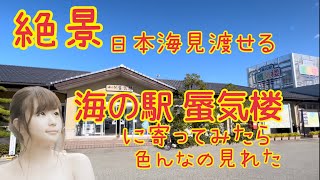 【絶景】日本海見渡せる！「海の駅 蜃気楼」に寄ってみたら色んなのが見れた