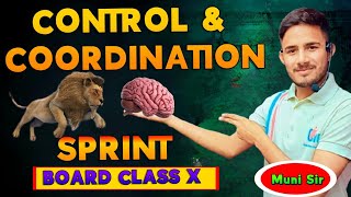 CONTROL AND CORDINATION CLASS X #CBSE_BOARD_EXAM_2025 BIOLOGY UPDATE SYLLABUS