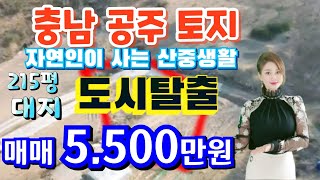 (매물번호 128번)충남 공주 토지/215평 대지/자연인으로 사실분에게 강추합니다.