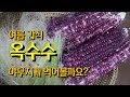 살 빠지는 여름간식 찰옥수수