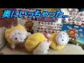 クレーンゲーム 大きいぬいぐるみ get