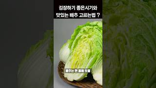 김장하기 좋은 시기와 배추 고르는법 #shortsvideo