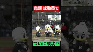 “鳥類総出”で…ついに成功!? #shorts