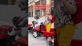 DOGGY PINTAR JEMPUT ADEK DI SEKOLAH PAKAI MOBIL ‼️🚗🐶 #dog #funny #pets #cute #shorts