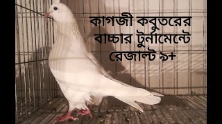 বাংলাদেশ ব্যাপী গ্রীষ্মকালীন টুর্ণামেন্টে এর বাচ্চা 9 ঘন্টা 29 মিনিট উড়ে দ্বিতীয় স্থান অর্জন করে